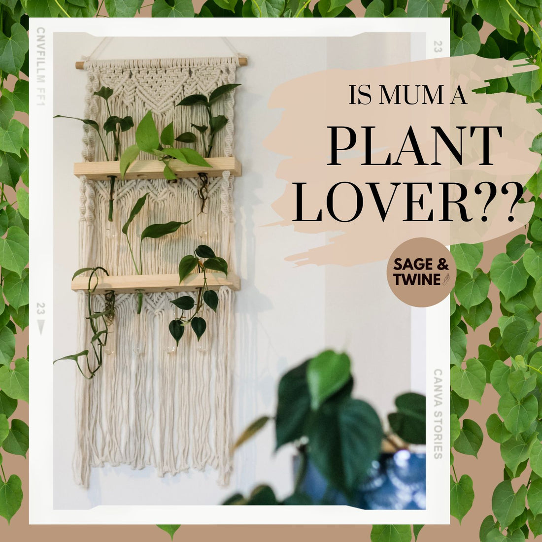Ivy propagation station