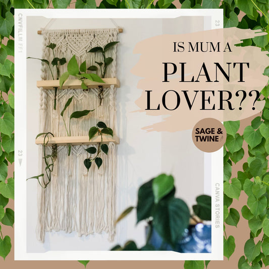 Ivy propagation station