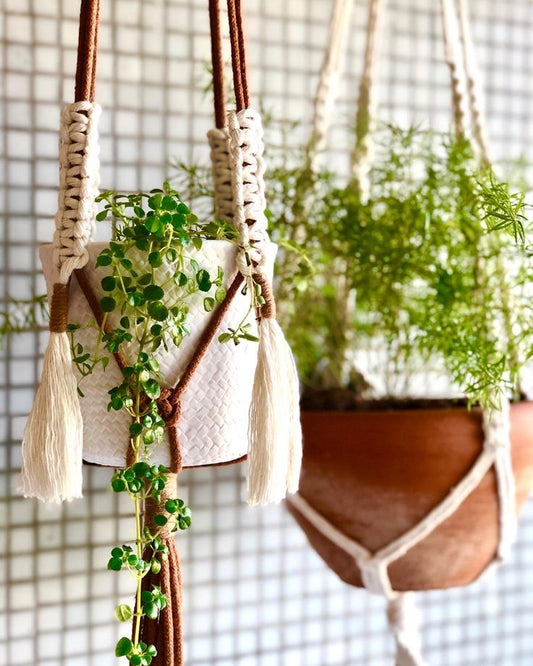 Macrame plant hanger