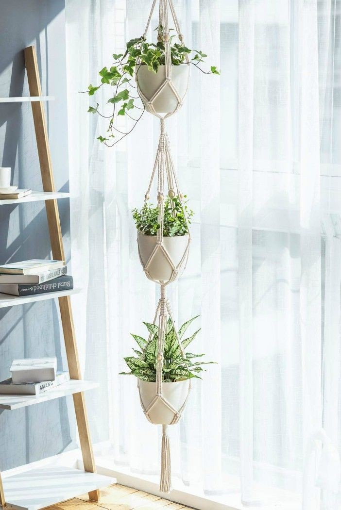 Macrame plant hanger