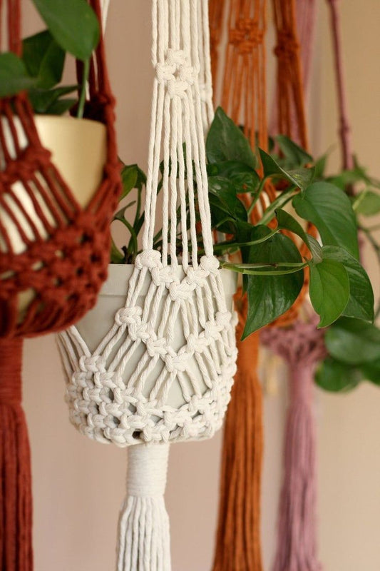 Macrame plant hanger