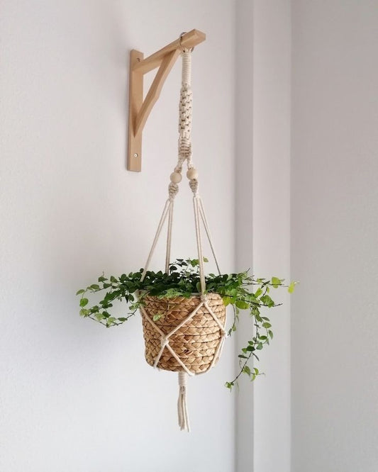 Macrame plant hanger