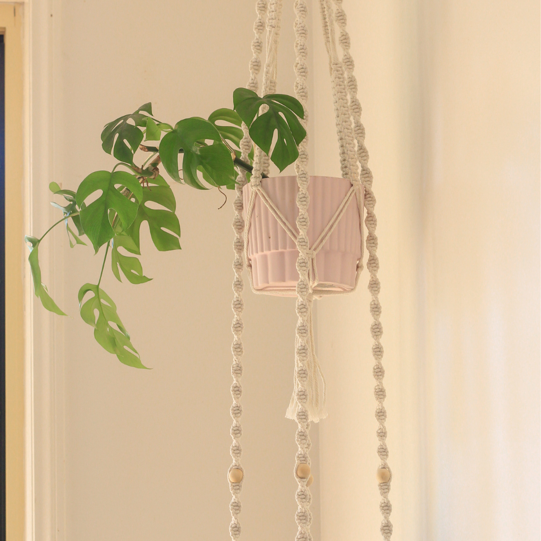 Elizabeth - Double Macrame Plant Hanger