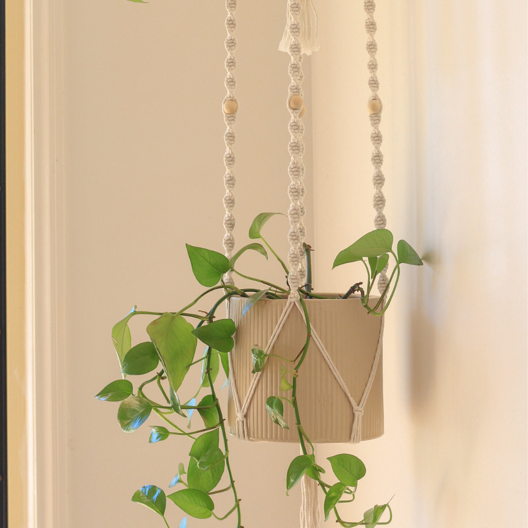 Elizabeth - Double Macrame Plant Hanger