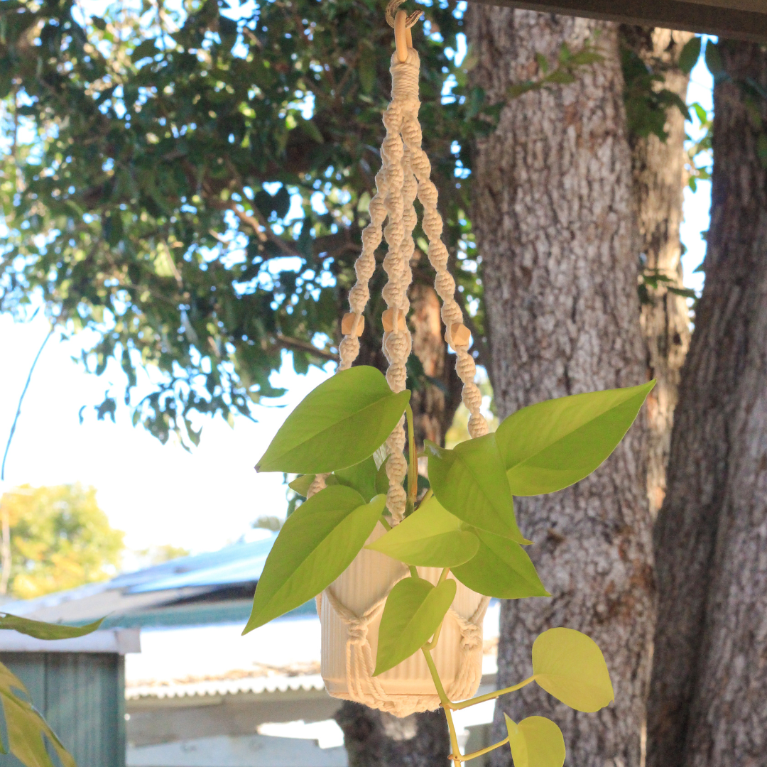 Louise - Macrame Plant hanger