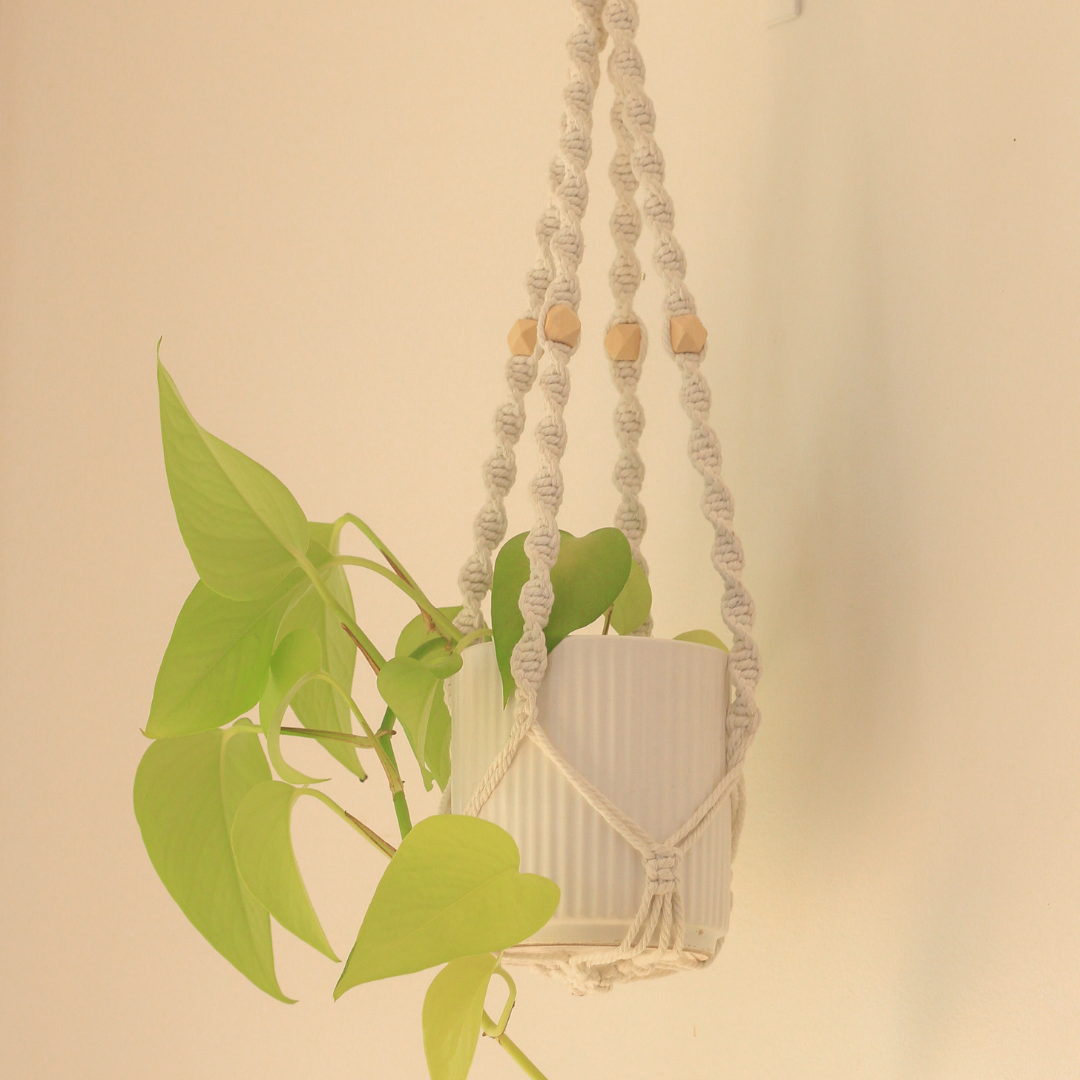twine macrame plant hanger Louise