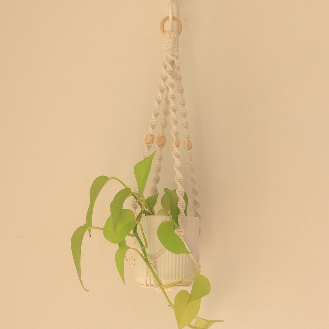 Louise - Macrame Plant hanger