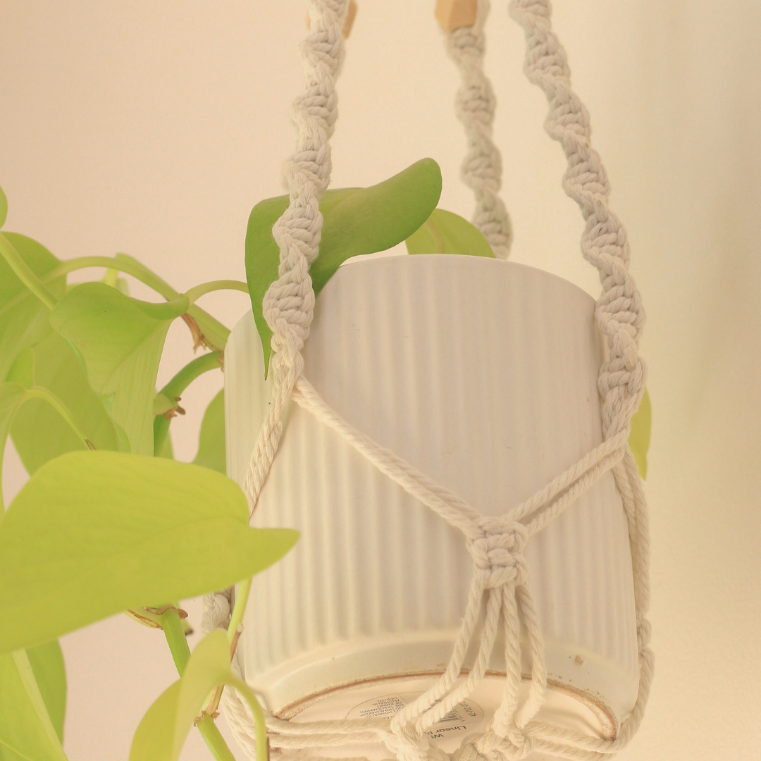 Louise - Macrame Plant hanger