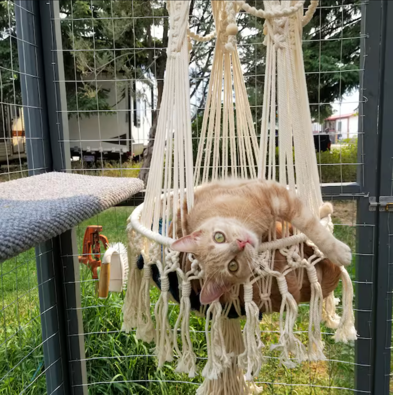 Luxury Macrame Hanging Cat Bed.