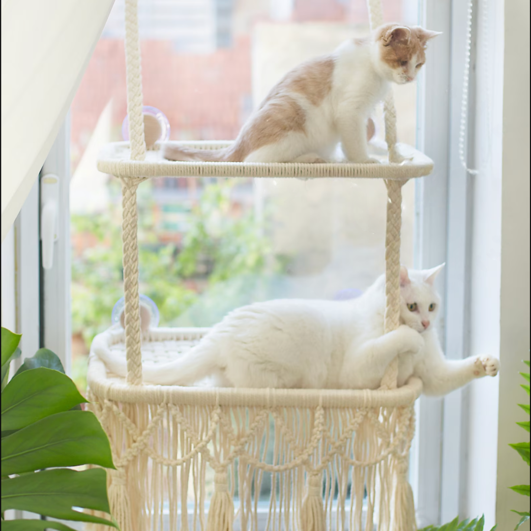 Macrame Cat Hammock Charlie