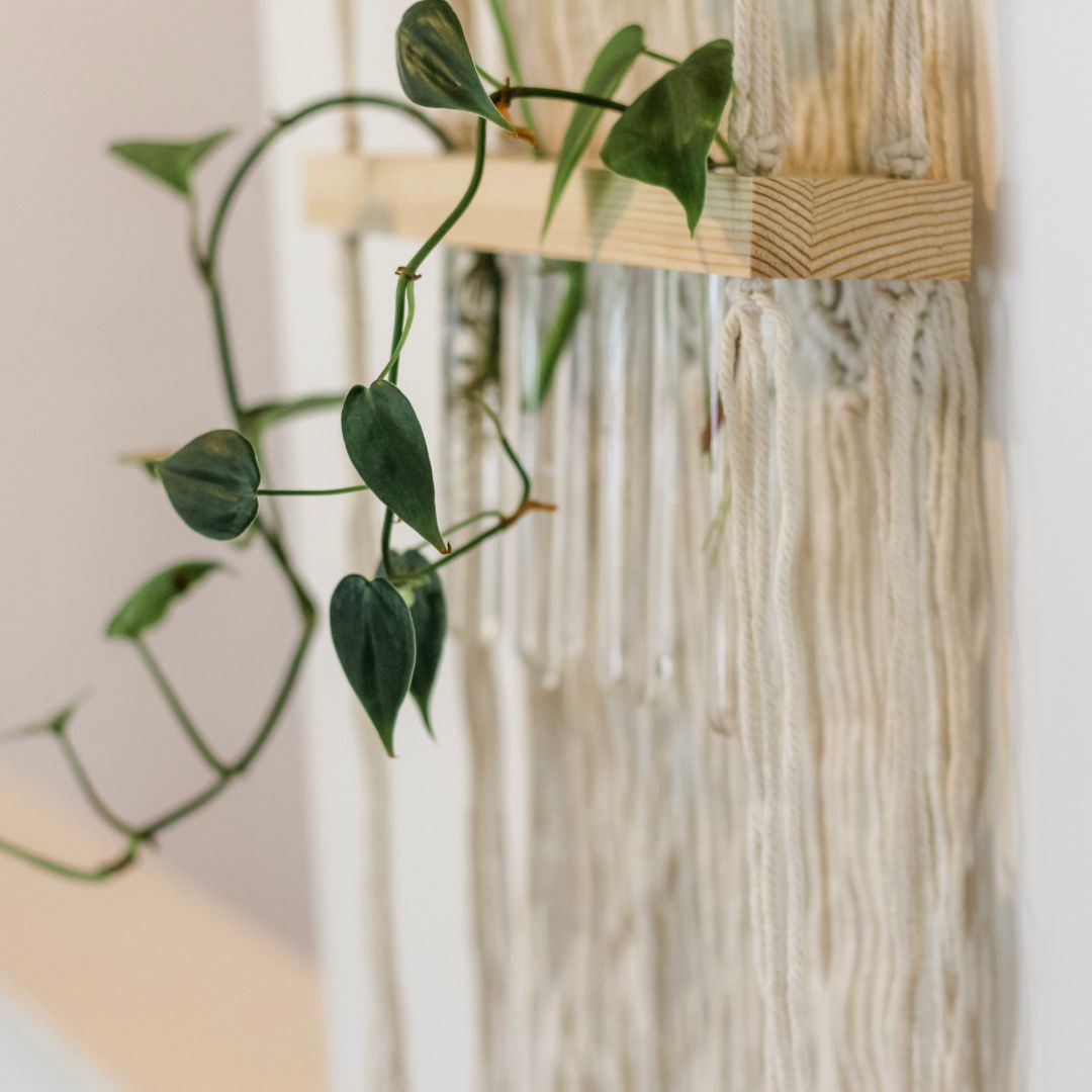 Macrame Hanging Propagation Station