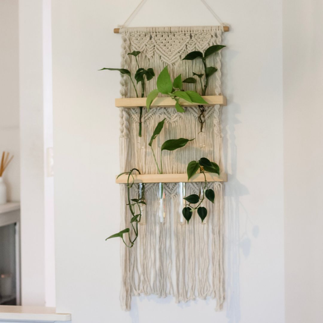 A macrame plant propagation station. The Macrame wall hanging has a wooden dowel at the top and two wooden shelves. Test tubes hang in holes in the shelves and are being used as a propagation stations for greenery cuttings such as pothos, philodendron, and more plants. There is a beautiful pattern knotted into the cotton cord at the top, with a downwards arrow design. this repeats twice behind the shelves. At the bottom of the last shelf there are long tassels hanging from the wood.