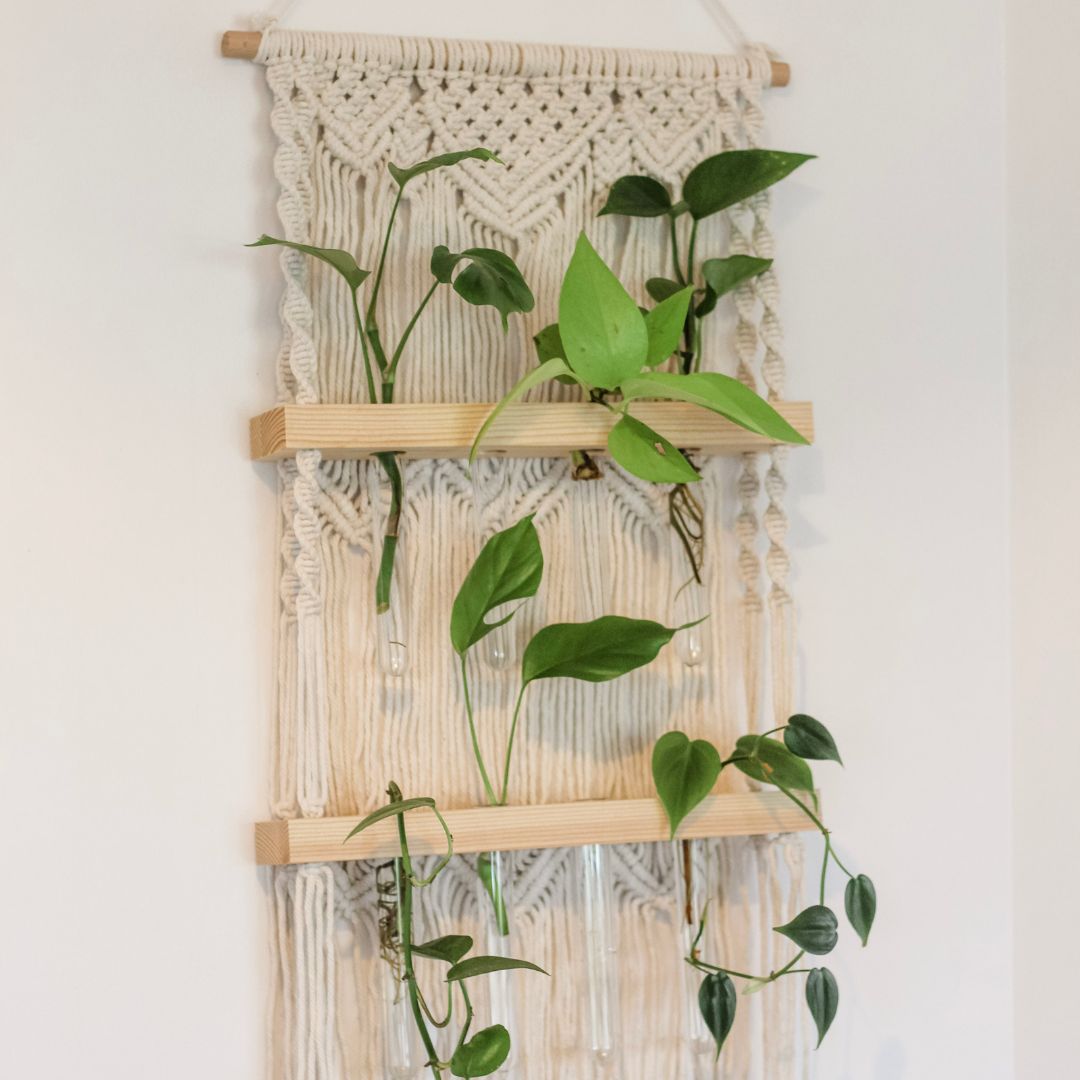 wall hanging plant propagation Macrame Hanging Propagation Station – Sage & Twine