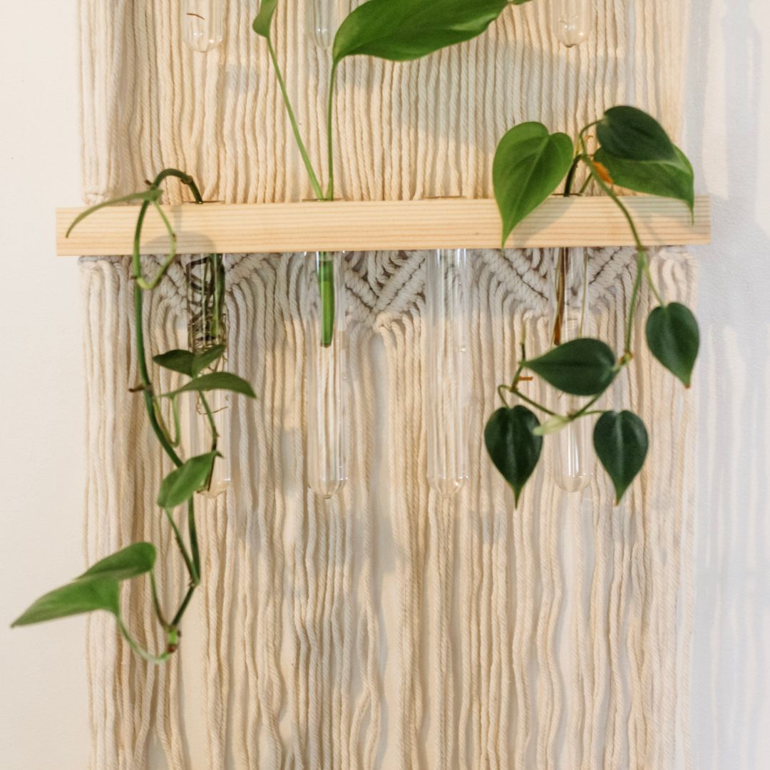 Macrame Hanging Propagation Station