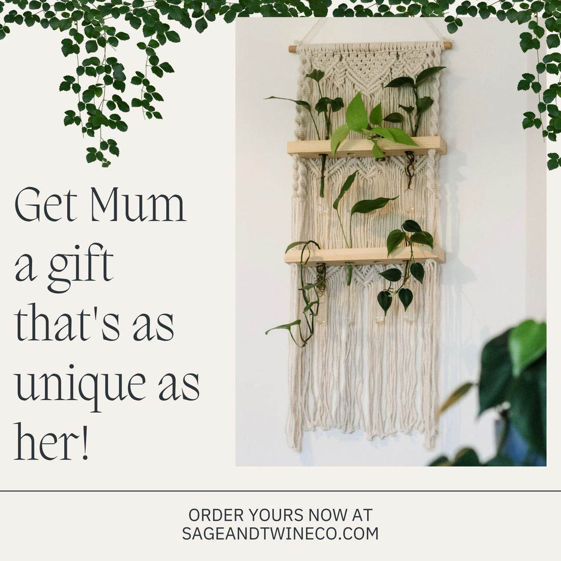 Get Mum a gift as unique as her, the Ivy Propagation station from sage and twine is i the perfect plant lover gift.