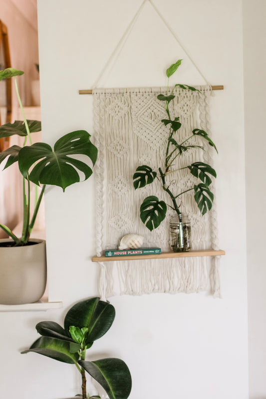 Macrame Shelf with Plant Propagation