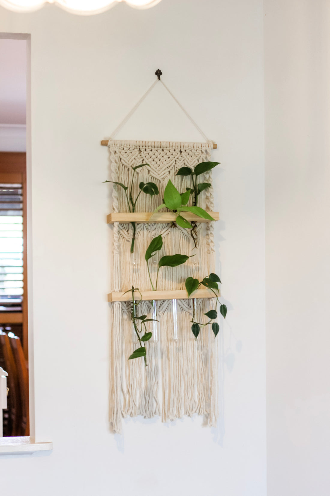 Sage & Twine, Blog post about How Indoor Macrame Plant Hangers Can Improve Your Home's Air Quality.