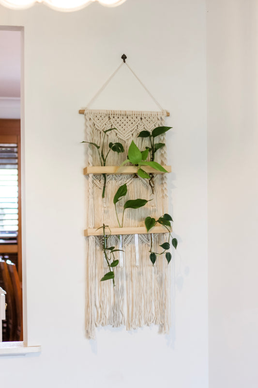 Sage & Twine, Blog post about Macrame Propagation Stations: The Secret to a Greener Home in Australia