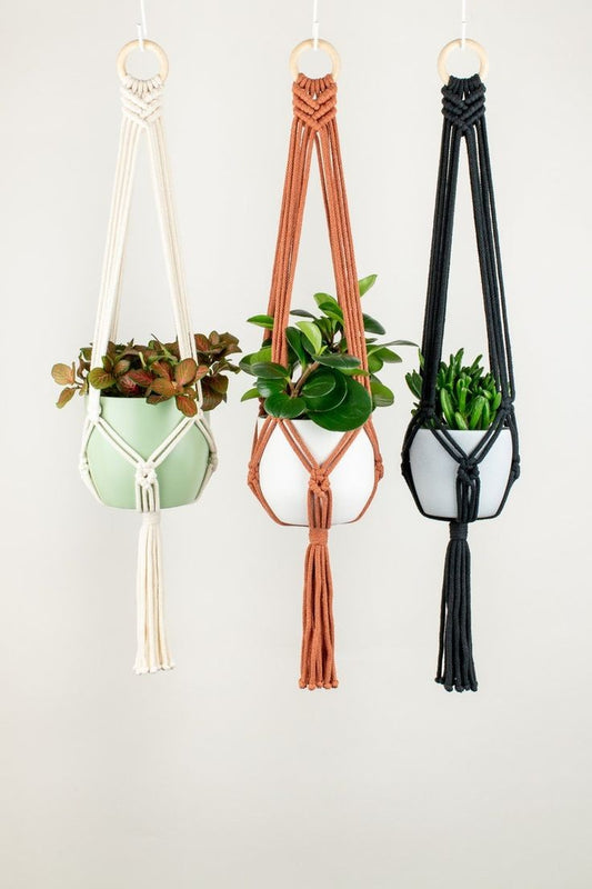 Macrame plant hanger 