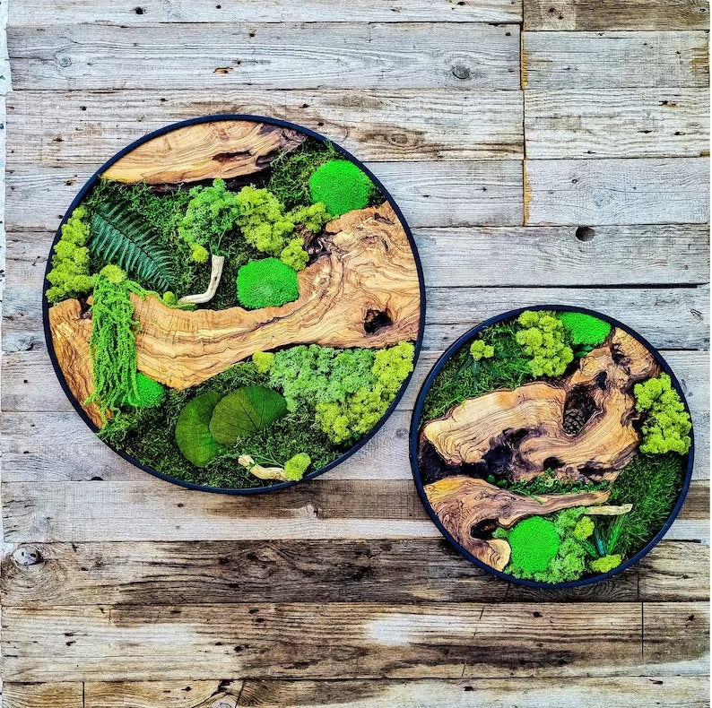 Sage & Twine Blog post about How is Moss Wall Art Taking the Design World by Storm in 2023.