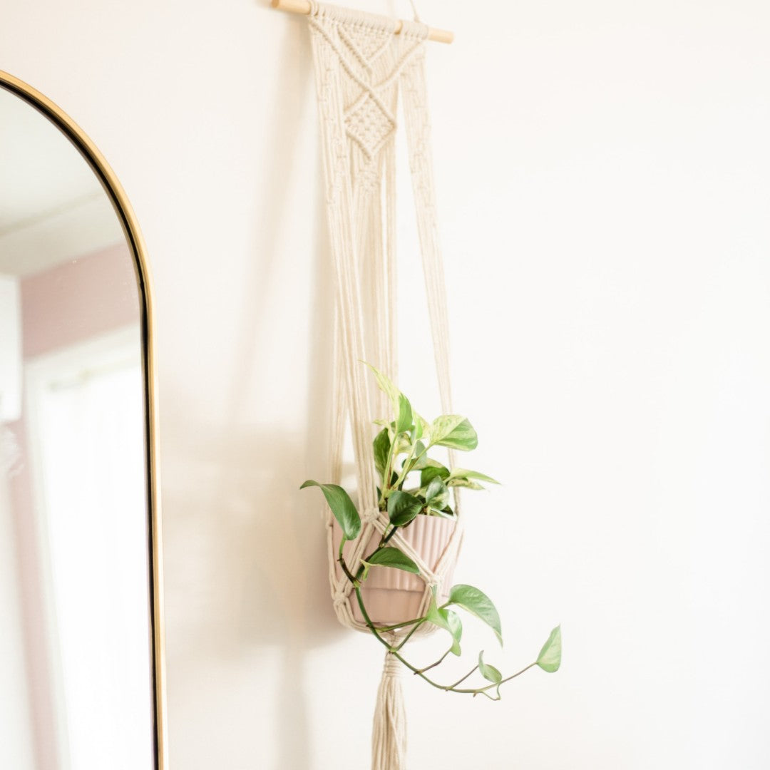 Macrame is a sustainable and eco-friendly way to decorate your home, and it makes the perfect gift for anyone looking to reduce their plastic waste. 