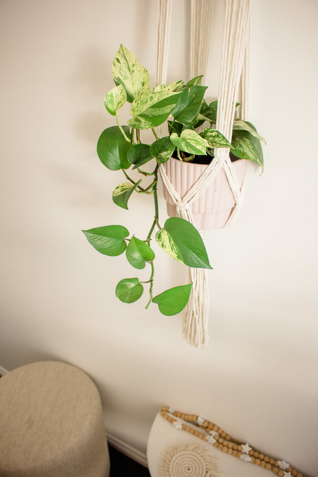 Sage & Twine, Blog post about Why You Should Have an Indoor Macrame Plant Hanger in 2023.