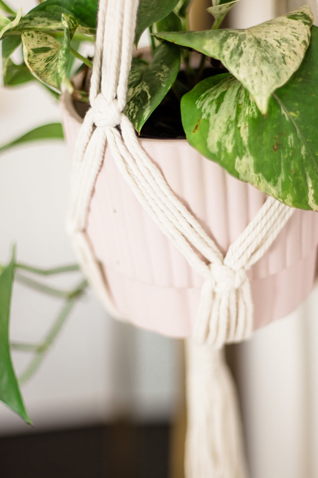 Macramé, the art of knotting cord or rope, has been around for centuries and is making a comeback as a popular form of home decor. With its intricate designs and bohemian vibe, macramé adds a touch of warmth and personality to any room.