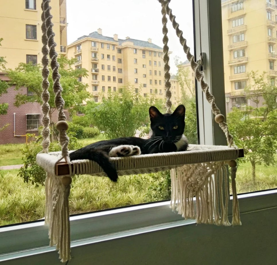 Feline Approved: Testing Out Different Macramé Cat Hammock Designs