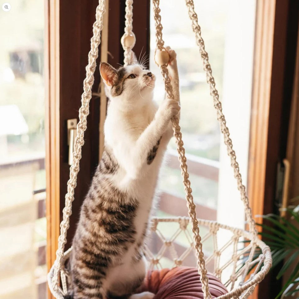 Creative Corners: Setting Up a Macramé Cat Lounge Area