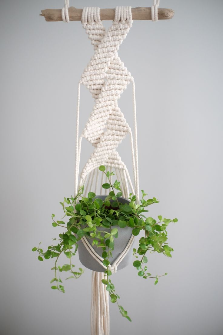 Weave Your Botanical Dreams: Macrame Plant Hanger Magic
