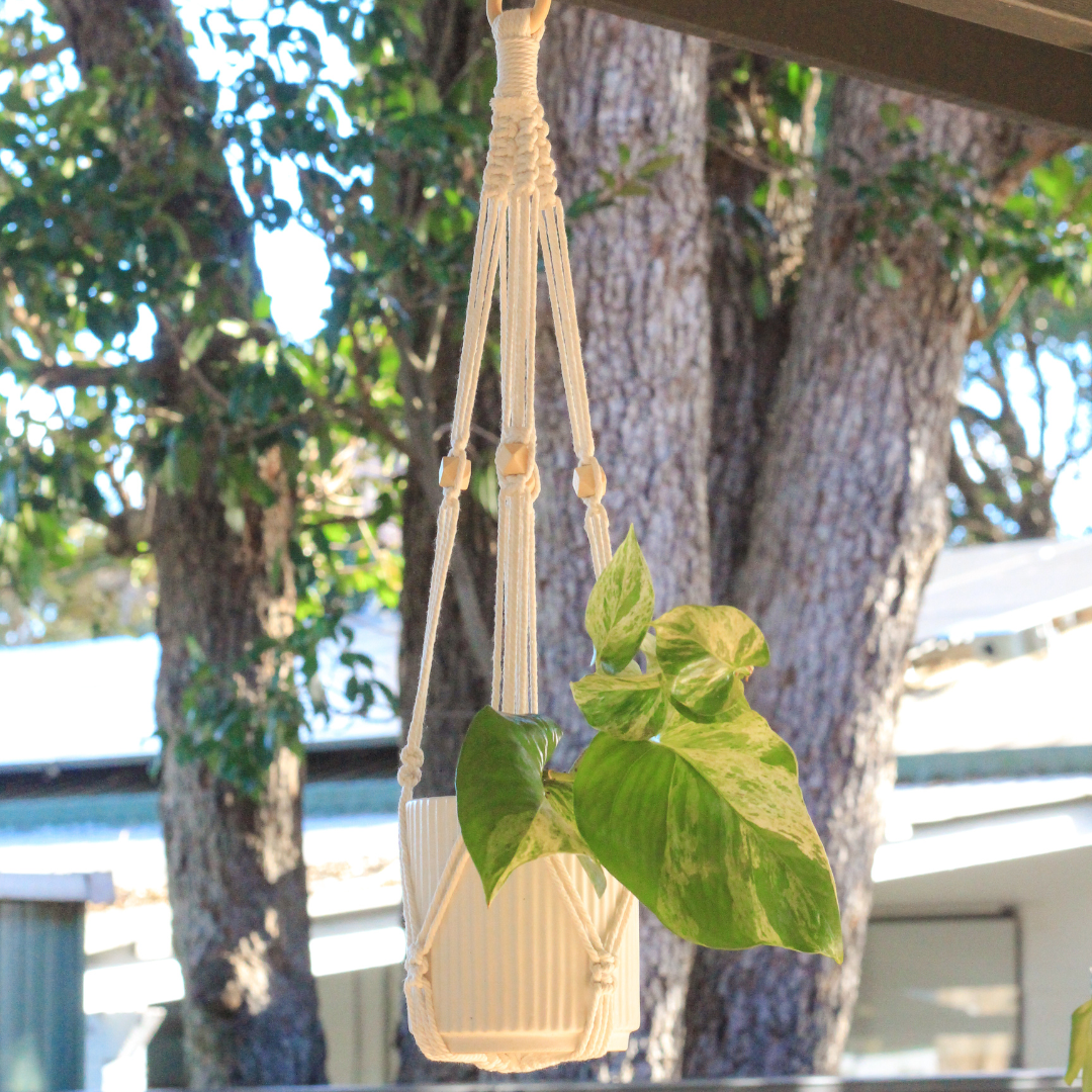 April - Macrame Plant Hanger