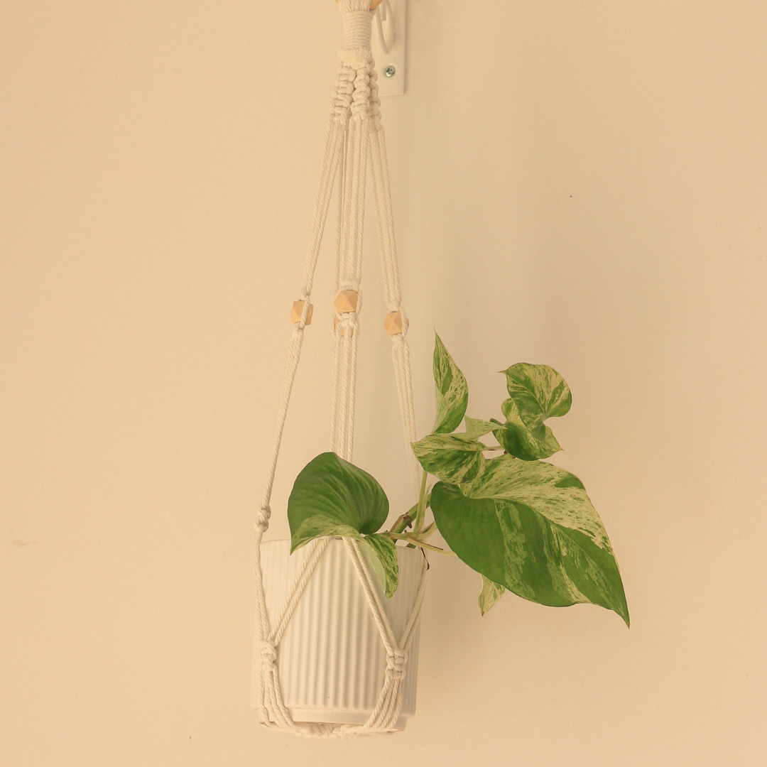 April - Macrame Plant Hanger