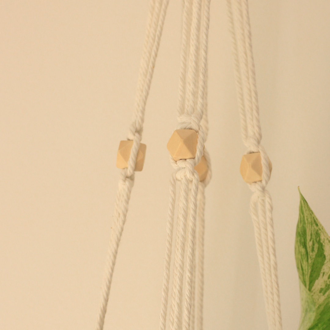 April macrame plant hanger with white wall close up detail of hexagon wooden beads. green leaf in fram