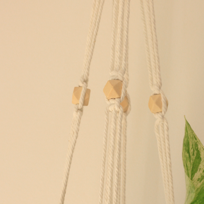 April macrame plant hanger with white wall close up detail of hexagon wooden beads. green leaf in fram
