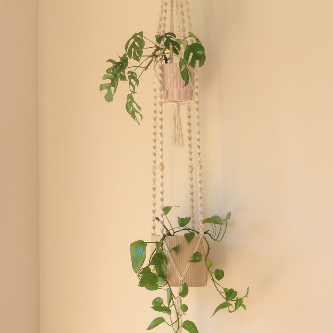 Elizabeth - Double Macrame Plant Hanger