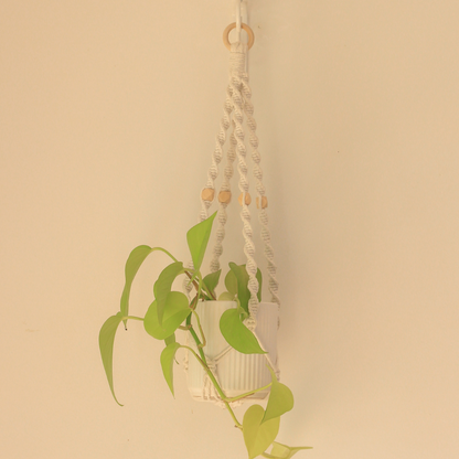 Louise - Macrame Plant hanger