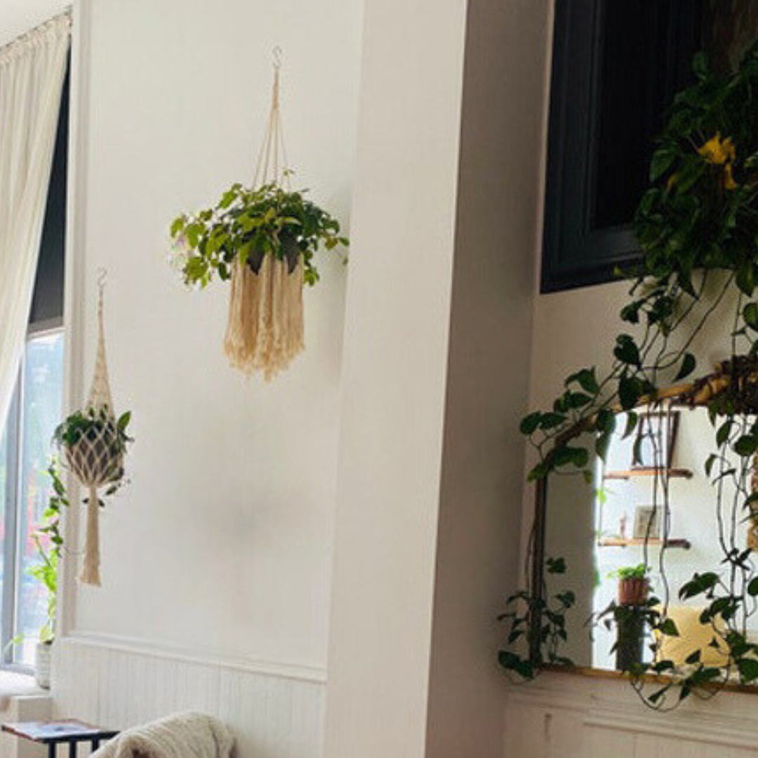 Mary - Macrame Plant Hanger