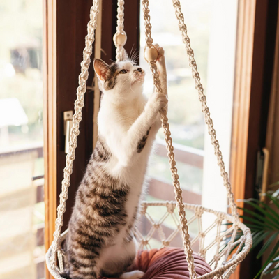 Macrame Cat Hammock Simba