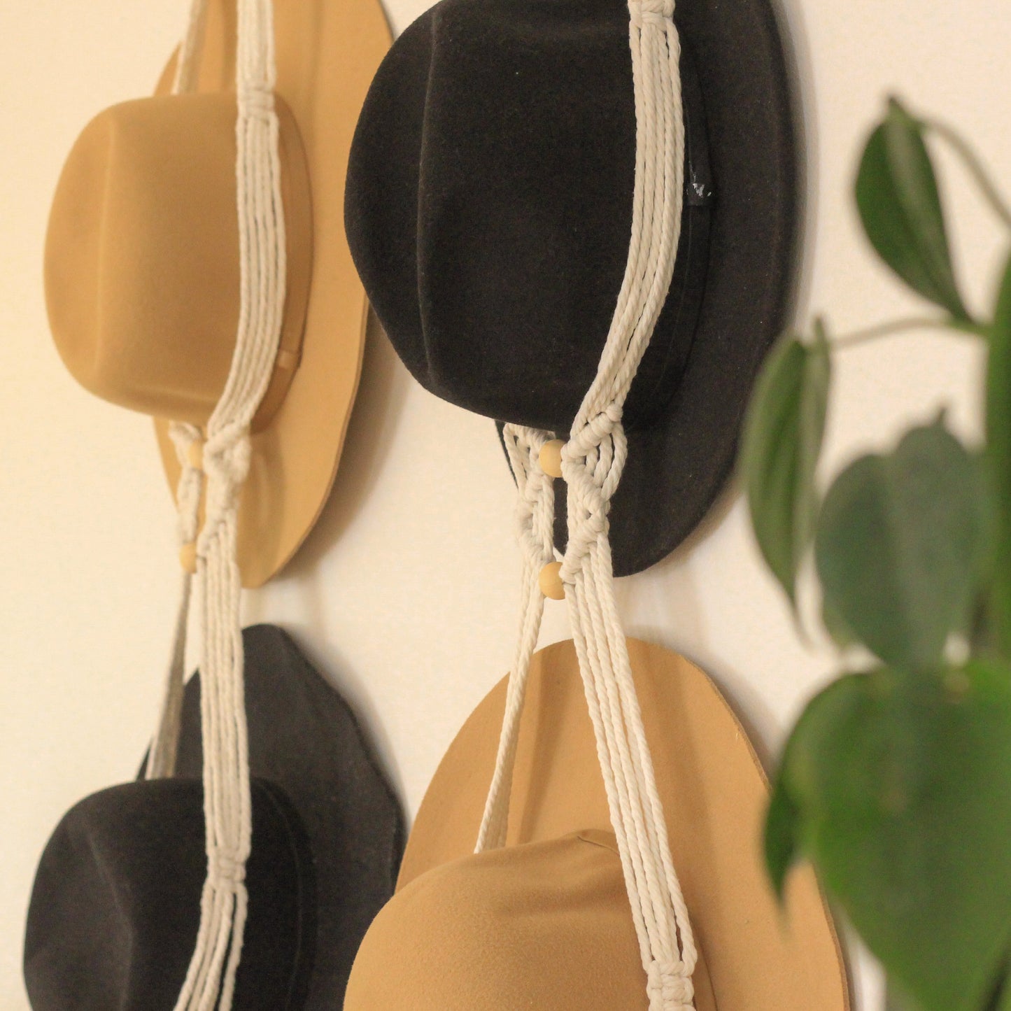 Macrame hat hangers, close up on an angle with a green leafy plant in the forground. Black and tan coloured akubra style hats are hung in the macrame