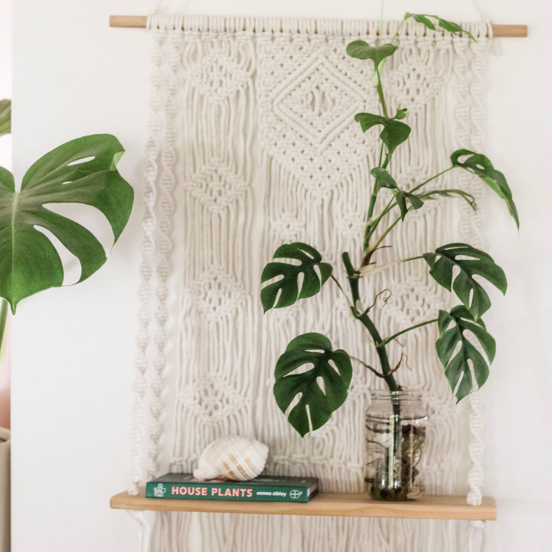 Macrame shelf by Sage and Twine Co with a plant and a book and a shell and boho decor. against a white wall.