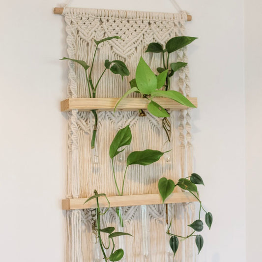 A macrame plant propagation station. The Macrame wall hanging has a wooden dowel at the top and two wooden shelves. Test tubes hang in holes in the shelves and are being used as a propagation stations for greenery cuttings such as pothos, philodendron, and more plants. There is a beautiful pattern knotted into the cotton cord at the top, with a downwards arrow design. this repeats twice behind the shelves. At the bottom of the last shelf there are long tassels hanging from the wood.