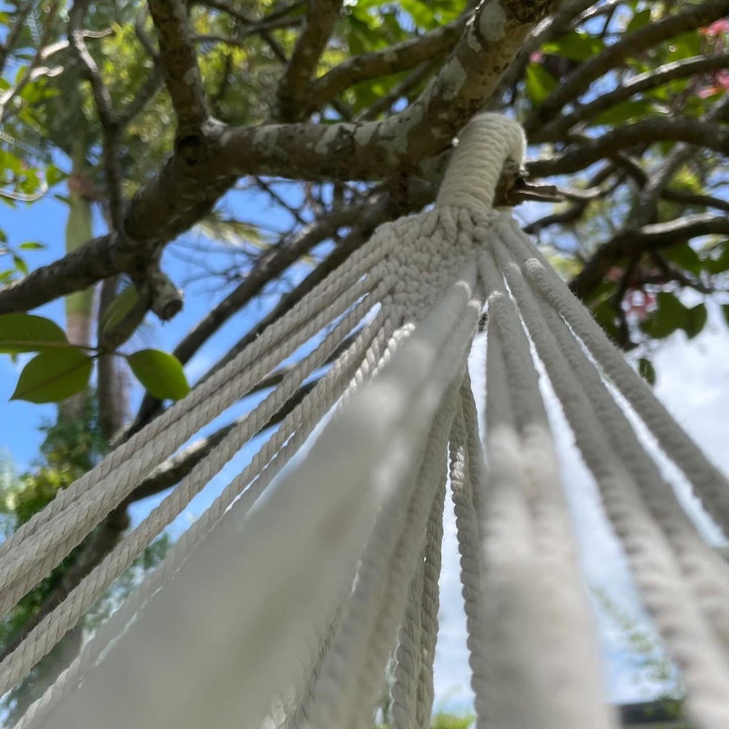 Macrame hammock Sage and Twine Co.